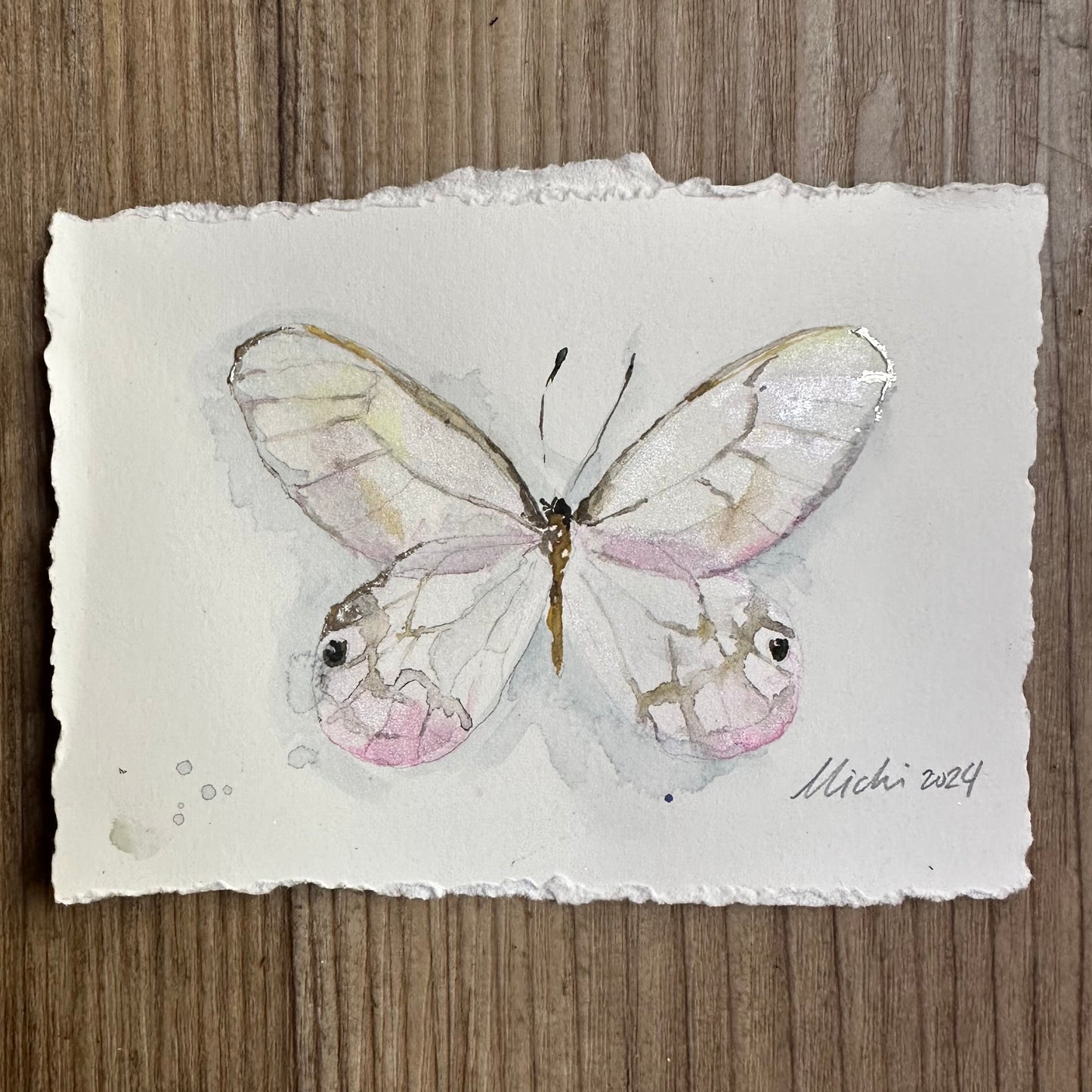 Greta oto, punk Glasswing Butterfly (Framed)