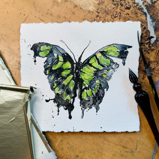 Siproeta Stelenes /  Malachite butterfly / Green Butterfly
