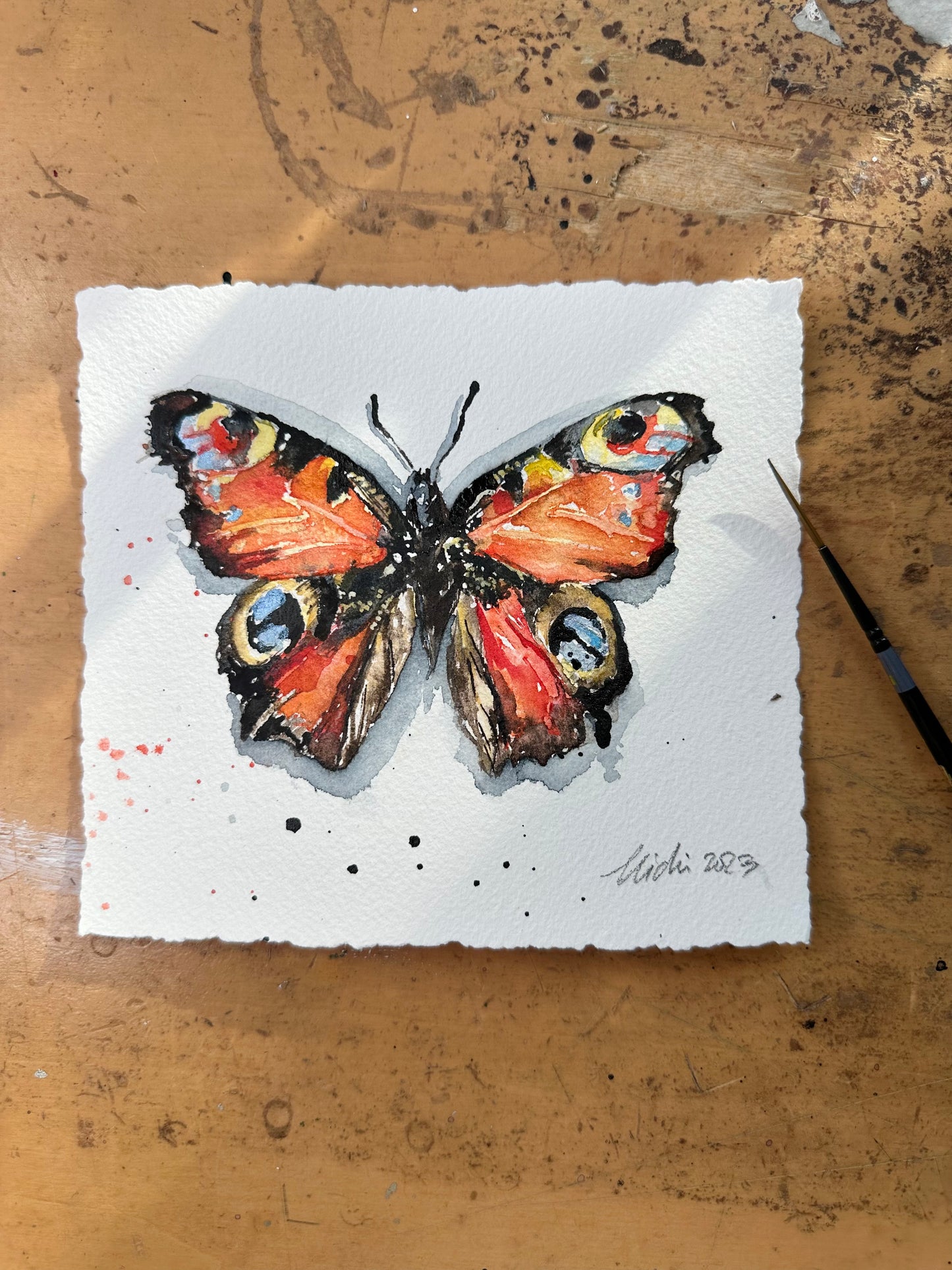 Aglais io / The Peacock Butterfly