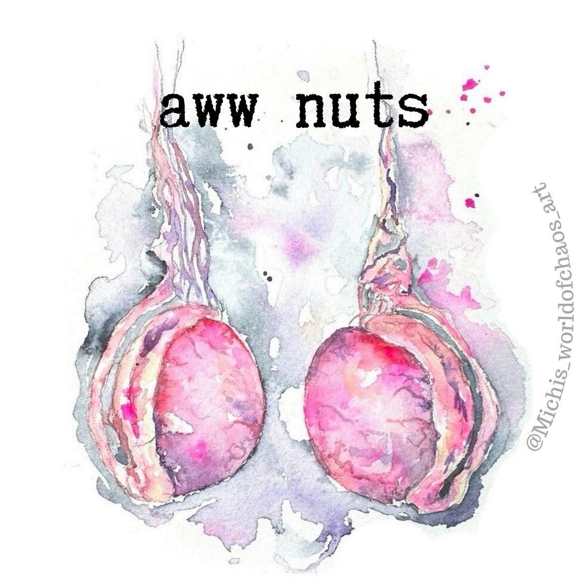 Aww Nuts Sticker