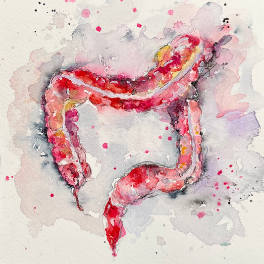 Intestines
