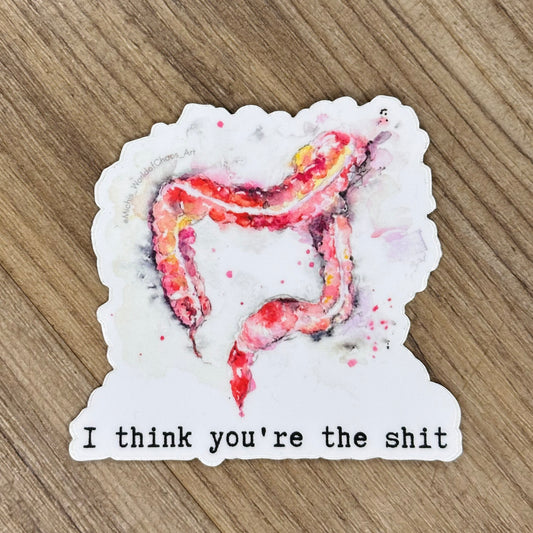 Colon Sticker - I Think You're The Shit