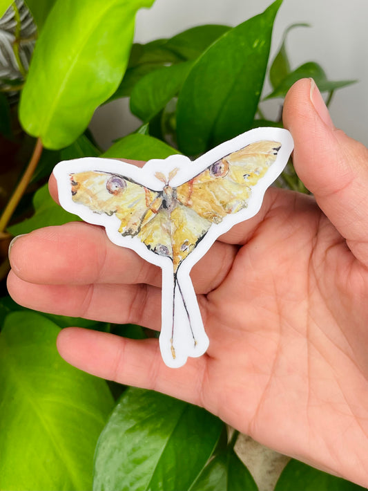 Yellow Luna Moth Sticker